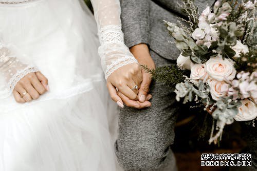 白醋十白术功效——，解锁古法养生的神秘力量
