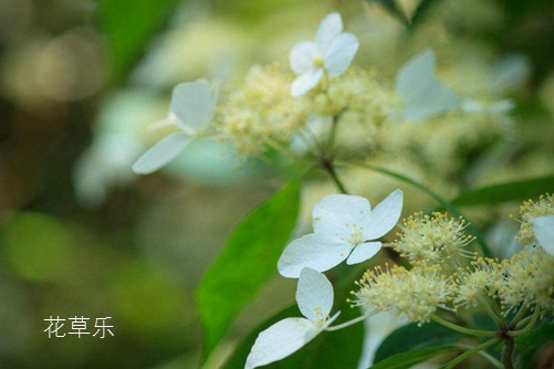 隔离霜什么吗——，解锁摄影艺术的神秘钥匙