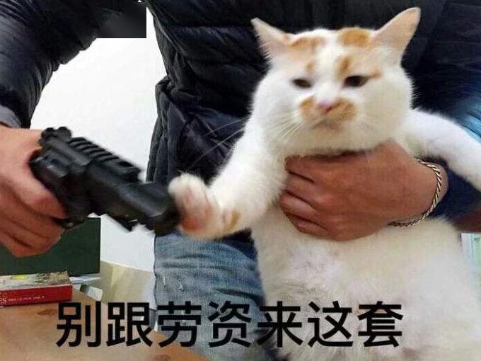 动漫吃货——，美食世界的探险者