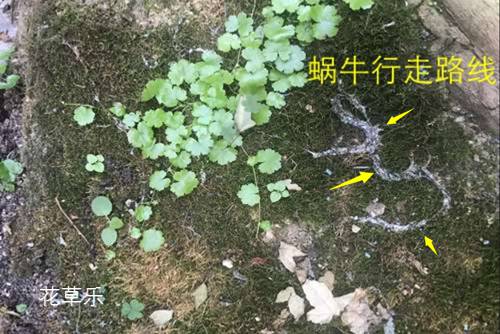 全画幅超广镜头一区二区三区在线欧洲，开启视觉新纪元的摄影神器