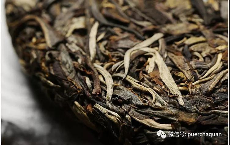 微单定焦镜头语337p日本欧洲亚洲高清鲁鲁，捕捉生活中的每一刻艺术